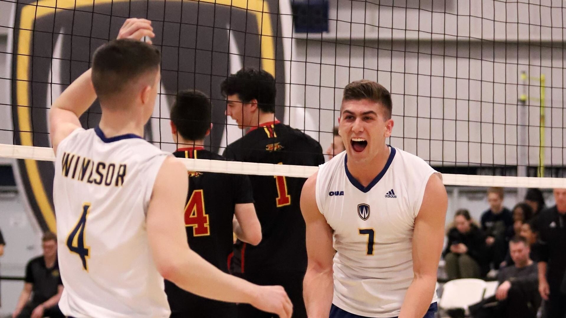 langley_johnson_vs_guelph_18_19-2811894